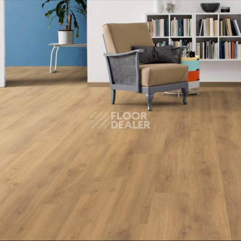 Haro Tritty 100 4V ДУБ ЭМИЛИЯ МЕДОВЫЙ 538692 фото 2 | FLOORDEALER